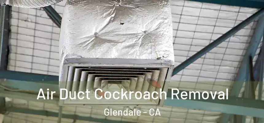 Air Duct Cockroach Removal Glendale - CA