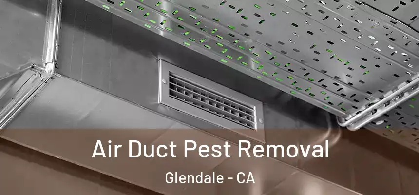 Air Duct Pest Removal Glendale - CA