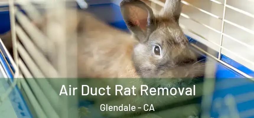 Air Duct Rat Removal Glendale - CA