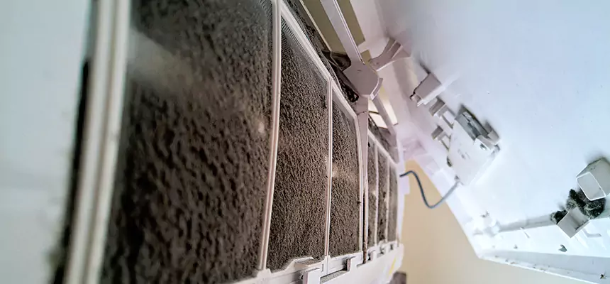 Preventive Air Duct Bacteria Removal in Glendale