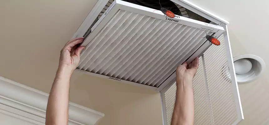 Preventive Cockroach-Proofing for Ducts in Glendale