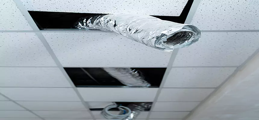 Affordable HVAC Sanitizing After Pest Removal in Glendale