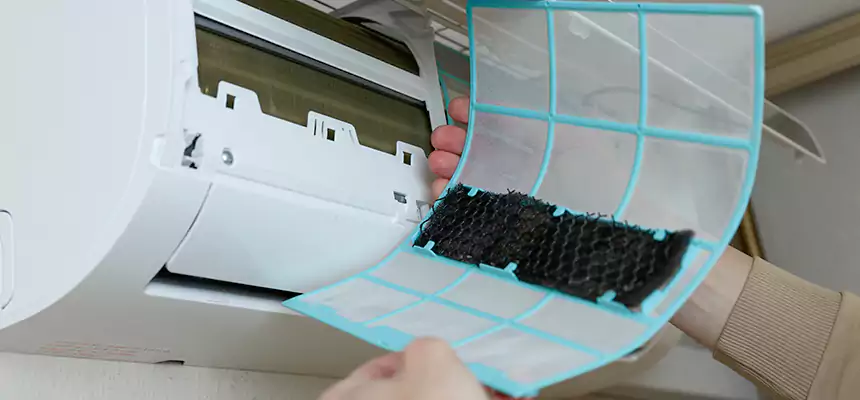 Gentle Ductwork Odor-Control Pet Dander Duct Cleaning in Glendale, CA