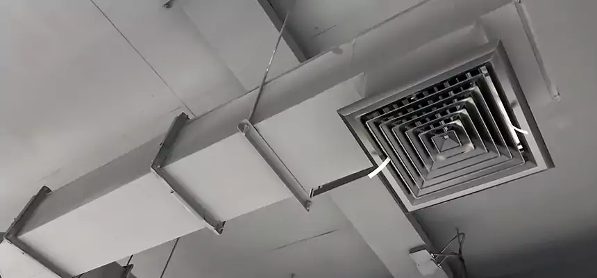 Our Rodent Droppings In Vents Services in Glendale, CA