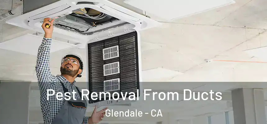 Pest Removal From Ducts Glendale - CA