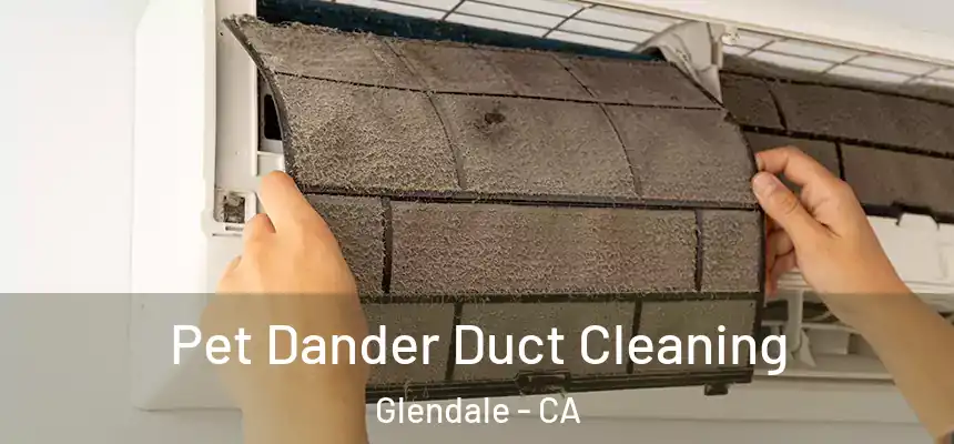 Pet Dander Duct Cleaning Glendale - CA