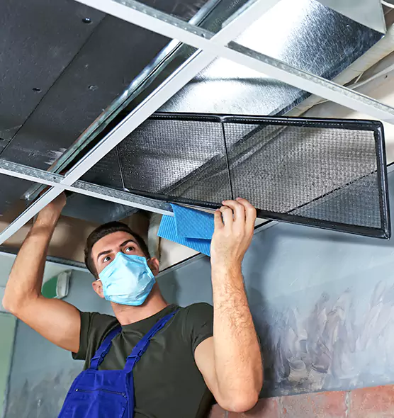 About Air Duct Bacteria Removal in Glendale