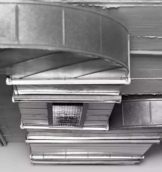 Professional Air Duct Pet Hair Removal in Glendale, CA