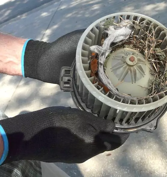 About Air Duct Rat Removal in Glendale, CA