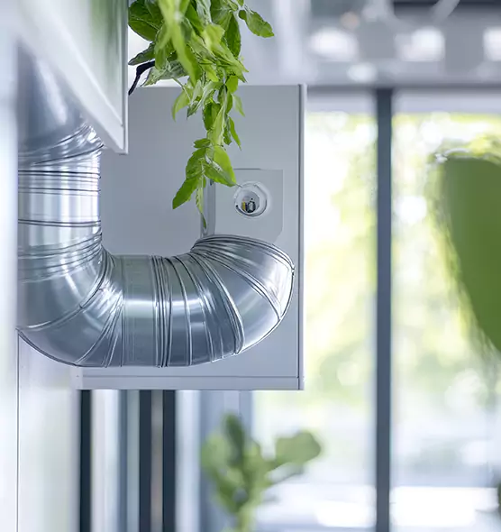 Professional Eco-Safe Dryer Vent Cleaning in Glendale, CA