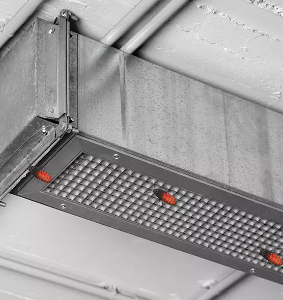 Affordable Insect Removal from Air Ducts in Glendale, CA