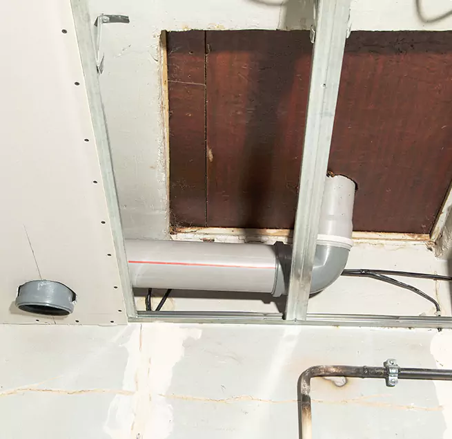 Why Homeowners & Businesses Trust Us in Glendale, CA?