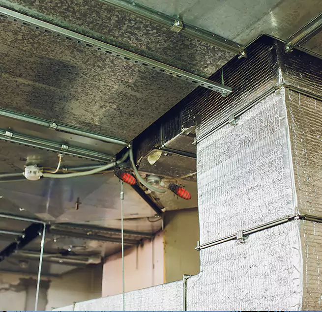 Why Homeowners & Businesses Trust Us Glendale, CA?