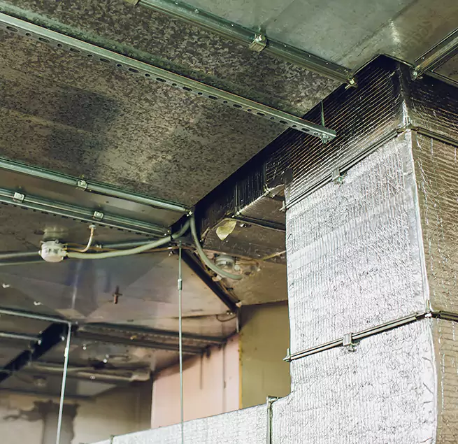 Why Homeowners & Businesses Trust Us in Glendale, CA?